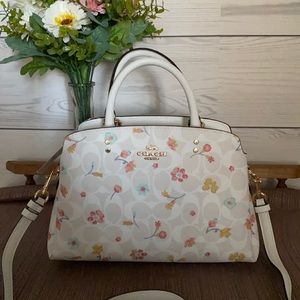 Mini Lillie carryall couch purse🌸💕